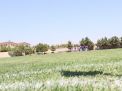 گزارش تصویری بازی های روز اول(هفدهمین المپیاد دانشجویی پسران)بخش دوم